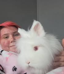 My friend Victoria is looking to rehome her bunnies