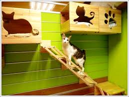 Kedi Sahipleri Icin Harika Dekorasyon Onerileri Zevkli Dekorasyon Ic Dizayn