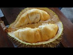 A nomad eats a durian in penang, malaysia. Balik Pulau Penang The Durian Lovers Paradise Youtube