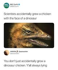 Technically The Chicken Did Evolve From The Dinosaur Really Funny Memes Funny Pictures Funny Memes