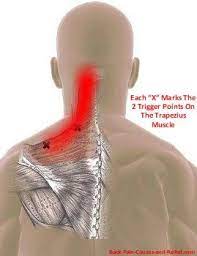 Pin On Neck