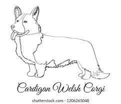 cardigan welsh corgi dog coloring image vectorielle de stock libre droits 1206265048 coloriage voitures anciennes