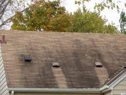 Missing tiles do not account for replacing the whole roof. How To Know When It S Time To Replace Your Roof Rowe Roofing