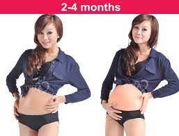 At 34 weeks pregnant, you're eight months pregnant, give or take. 3 4months Artificial Baby Tummy Silicone Belly Fake Pregnancy Pregnant Belly Fake Pregnancy Retail Belly Fat Shapers Aliexpress