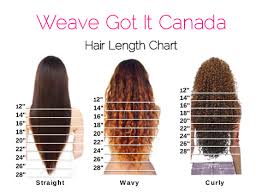 100 Human Clip In Hair Extensions Weave Got It Canada