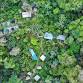 Winter B 2026 Permaculture Design Course: Sunday event image
