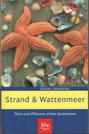 Welche möglichkeiten gibt es, das wattenmeer zu schützen? Isbn 9783835403734 Strand Und Wattenmeer Tiere Und Pflanzen Sicher Bestimmen Neu Gebraucht Kaufen