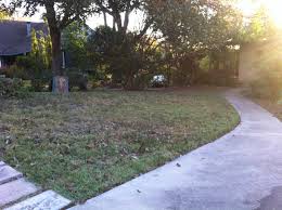 Maybe you would like to learn more about one of these? Hot Summer Days Perfect Time To Solarize Convert Turf To Pollinator Habitat Texas Butterfly Ranch