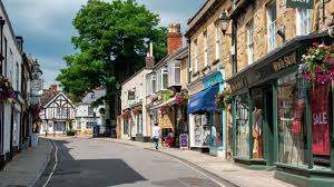 Image result for Sherbournia