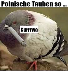 Über 270 bilder und sprüche zum thema #whatsapp, beste lustige bilder, whatsapp lustig, videos, fotos und sprüche. Alltags Bilder Fur Whatsapp Archive Blogseite Com