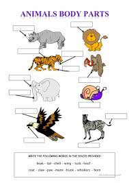 The body parts that need to be recognized are an a eye, a hand, and lips. Animal Body Parts English Esl Worksheets For Distance Learning And Physical Classrooms