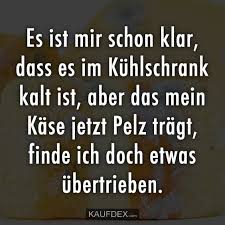 Es Ist Mir Schon Klar Dass Es Im Kuhlschrank Kalt Ist Kaufdex Witzige Spruche Lustige Zitate Lustige Spruche