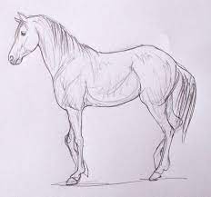 Fotos De Caballos Para Dibujar De Busqueda Dibujos De Caballos Como Dibujar Un Caballo Caballo Dibujo Facil