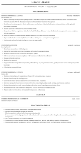 Looking for fair lending risk assessment? Commercial Lender Resume Sample Mintresume