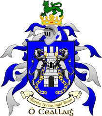 Family motto family crest family names iceni tribe celtic druids crests my heritage coat of arms. Tracing Your Irish Ancestry The Kelly Clan Irish Coat Of Arms Coat Of Arms Irish Surnames