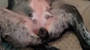 throw @throwtgote - Twitter Profile | Sotwe