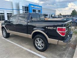 Image result for Medium Brown 2013 Fleet