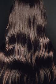 How To Make Your Brown Hair 10 Times Shinier Brown Hair Colors Brown Blonde Hair Brown Hair Dye