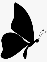 Butterfly Shape From Side View Facing To Right Svg Easy Side View Butterfly Drawing Png Image Transparent Png Free Download On Seekpng