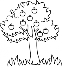 Apple tree drawing at paintingvalley com explore collection of. Apple Tree Drawing Clip Art Png 916x1008px Watercolor Cartoon Flower Frame Heart Download Free