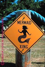 Sign Mermaid Crossing Stock Photo 1561 Mermaid Mermaid Sign Stock Photos