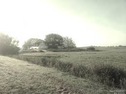 Sie wollen eine eigentumswohnung in garding kaufen? Reetdachhaus Mit Ca 350m Wohnflache Und Ca 1ha Land Gebotsvorschlag Erwunscht Homebooster