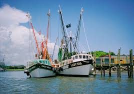 We did not find results for: South Carolina Sc Shrimp Shrimping Industry Shrimp Boat Photos And Shrimp Festivals