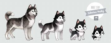 The siberian husky is a spitz breed with origins in northern siberia (russia). Doodle Study Siberian Husky Thousand Skies Cute Animal Drawings Husky Drawing Animal Drawings