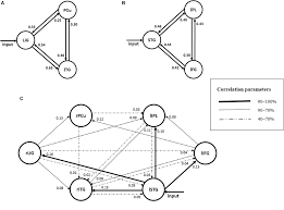 Maybe you would like to learn more about one of these? Frontiers Evaluation Of Effective Connectivity Between Brain Areas Activated During Simulated Driving Using Dynamic Causal Modeling Behavioral Neuroscience