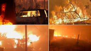 En menos incendios se queman más hectáreas. El Verano Negro De Fuegos En Australia Afecto A 3 000 Millones De Animales Diario Eco