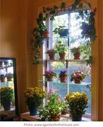 Eclairage Des Plantes D Interieur Jardinier Paresseux Indoor Window Garden Window Plants Window Garden Ideas