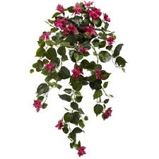 Can a bougainvillea plant grow in full sun? Bougainvillea Artificial Greenery Home Decor The Home Depot