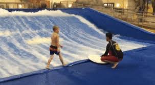 Funny Or Die Cool Gifs Funny Gif Funny Memes