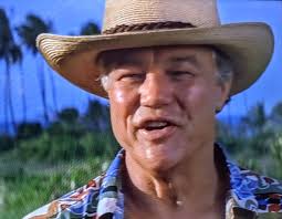 Yamaha RX-V1 AV Receiver Review and Comparison