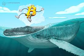 Bitcoin cash is one of the largest altcoins that came from bitcoin, but is it still worth your money? Number Of Bitcoin Cash Whales Drops Following 39 Price Surge