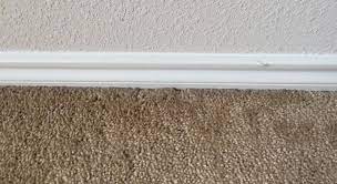 Add another baseboard onto of the old one, towards the bottom, perhaps a. How To Seal Under Baseboard Carpet Diy Home Improvement Forum