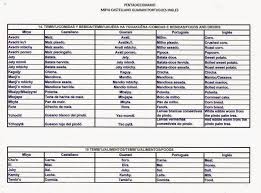 Primer Traductor Diccionario Mbya Ayuda Al Pueblo Originario Guarani De Misiones Facebook