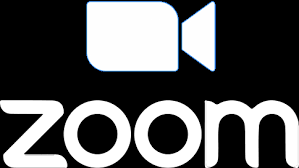 Logos can be in gif, jpg or png format. Zoom Logo Houston Driving School