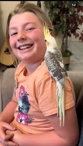 Cockatiels of the Southwest