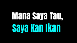 Deretan meme yang menggambarkan kekesalan netizen, tapi tetap bikin ngakak ya! Arti Dan Asal Ucapan Mana Saya Tau Saya Kan Ikan Di Media Sosial Id Harvest