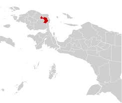 Maybe you would like to learn more about one of these? Arfak Mountains Regency Wikipedia