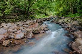 Image result for 7. Panguil River