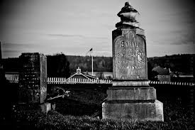 Check spelling or type a new query. West Coast Pet Memorial Sultan The Y Guide