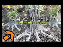 How To Make Cement Tree Stump Pot Expert Malayalam Youtube Tree Stump Diy Pots Cement