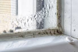 Follow these steps to get rid of mildew on surfaces like tile, fabric, wood, leather, grout, and more. How To Remove Mildew Or Mold On Glass And Windows With Pictures Fab Glass And Mirror