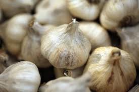 In cooler climates, fall planting is ideal because it allows roots to develop before the freeze, and foliage will get off to a romping start in early spring. When To Plant Garlic In The Fall The Old Farmer S Almanac