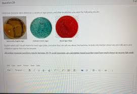 Ss agar is a modification of the desoxycholate citrate agar. Solved 5 Pt Question 29 Unknown Bacteria Were Plated On A Chegg Com
