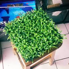 Baru anda bisa merakit bebarapa perlengaapan itu menjadi sebuh alat filter yang snata sederhana. Rumput Plastik Rumput Dasar Aquarium Tipe Kasar Hiasan Aquarium Rumput Sintetis Palsu Shopee Indonesia