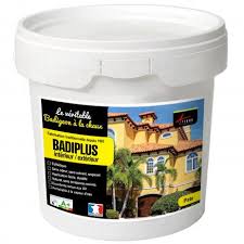 Badiplus Badigeon A La Chaux Decoration Interieure Exterieur Maison Badigeon Chaux Badigeon Chaux