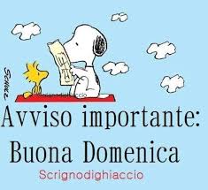 Avvisto Importante Buona Domenica Snoopy Buona Domenica Snoopy Buona Domenica Mattina